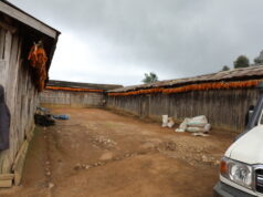 Nyamagabe scales up agricultural modernization through FOBASI