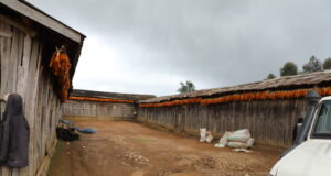 Nyamagabe scales up agricultural modernization through FOBASI