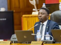 Senateri Frank Habineza yahakanye kujya mu mugambi w’abarwanya ubutegetsi